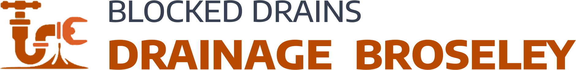 website logo